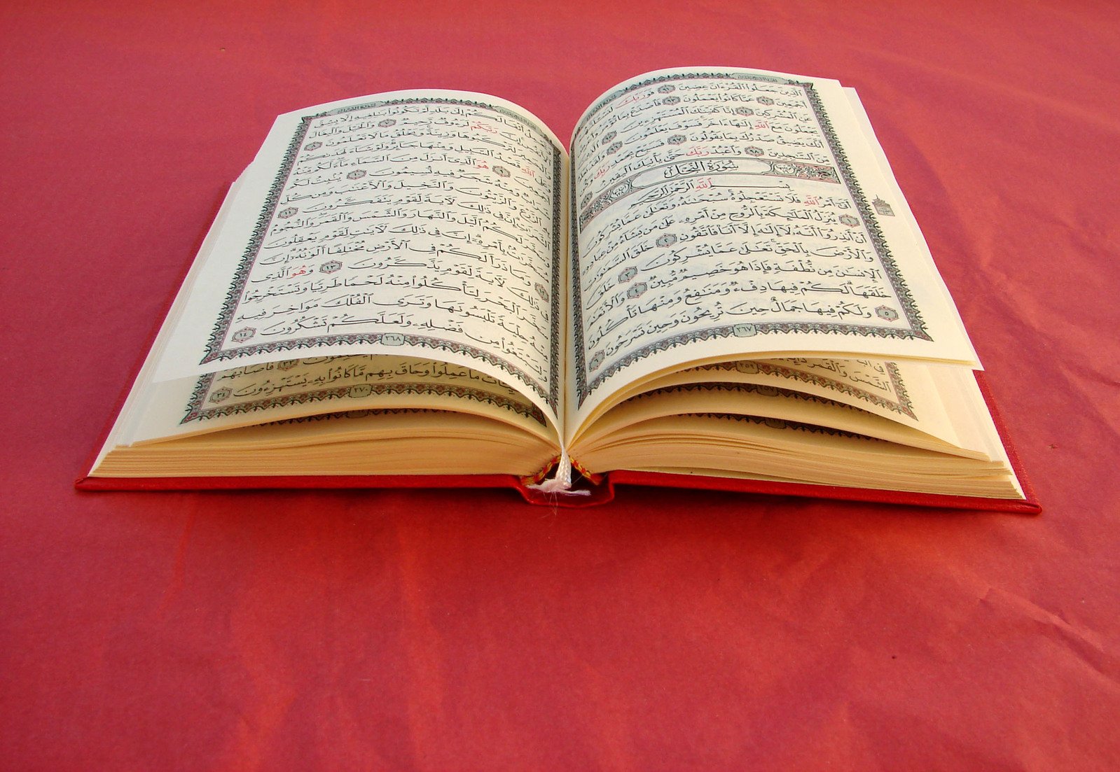 Youth Qur'an and Islamic Studies Program