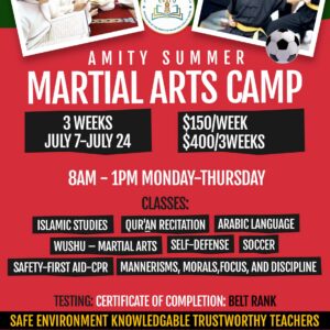 AMITY Summer Martial Arts Camp